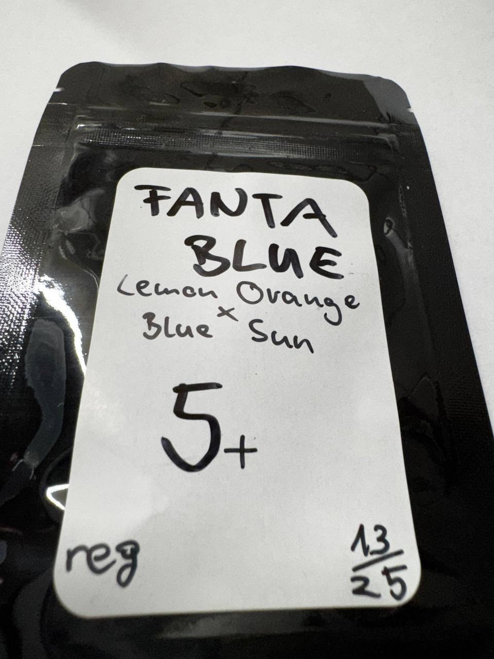 Fanta Blue (Lemon Orange x Blue Sun) - 5+ reg Seeds - Basement Chuckers Genetics