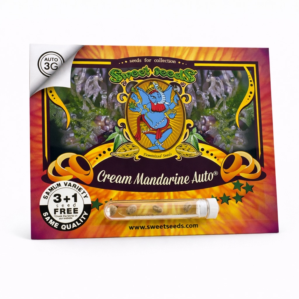 Cream Mandarine Auto® 3+1 Seeds
