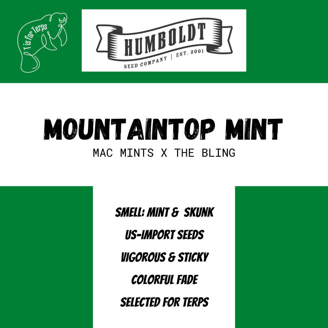 Battle of the Mints- Box