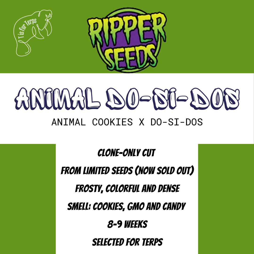 Animal Do-si-dos - Hanfsteckling