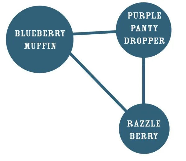Blueberry Muffin - 3 fem Seeds - Humboldt Seed Company