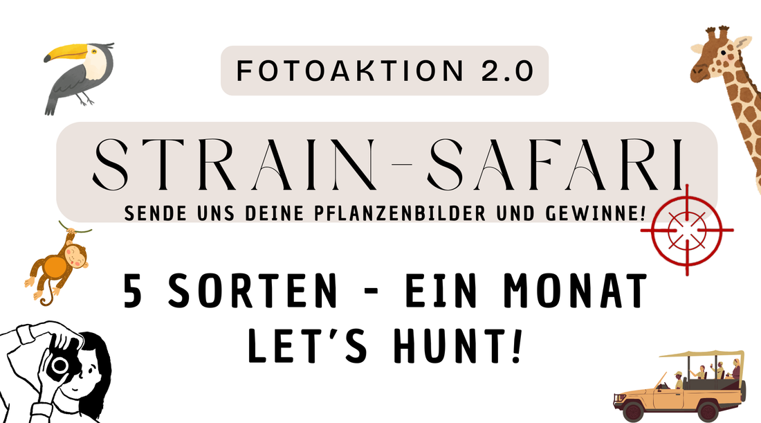 Strain-Safari: "Unsere Sorten. Eure Pflanzen." - Photo-Aktion