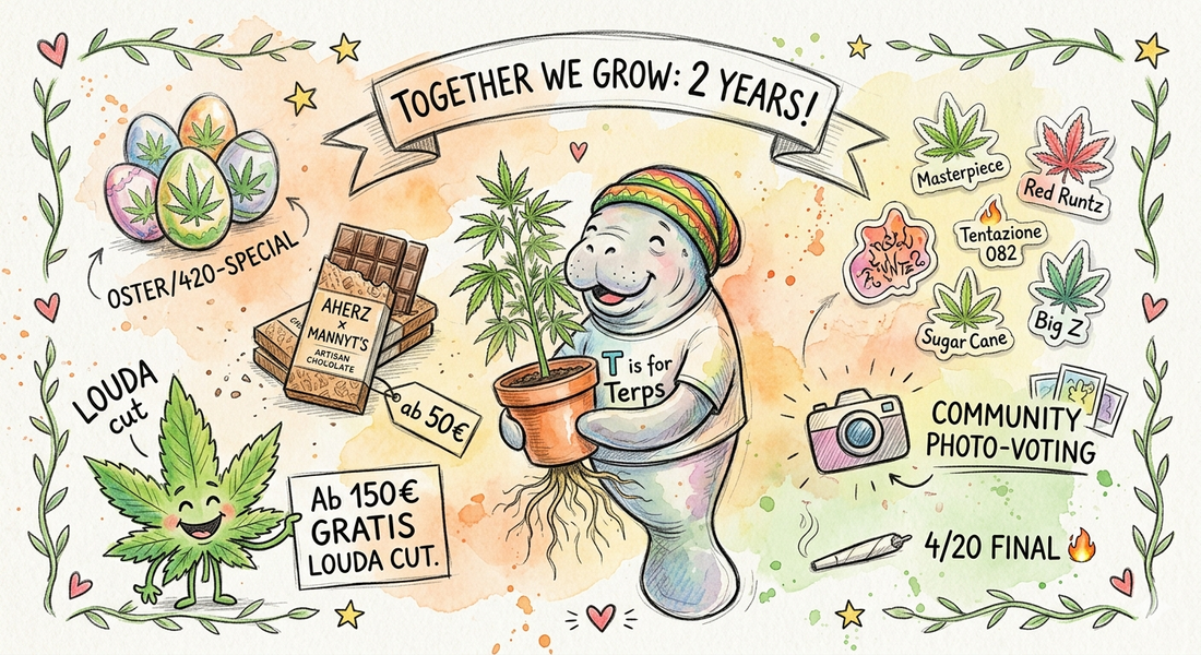 Together we Grow: 2 Jahre MannyT’s Selection – The Fire Place 🌱🔥