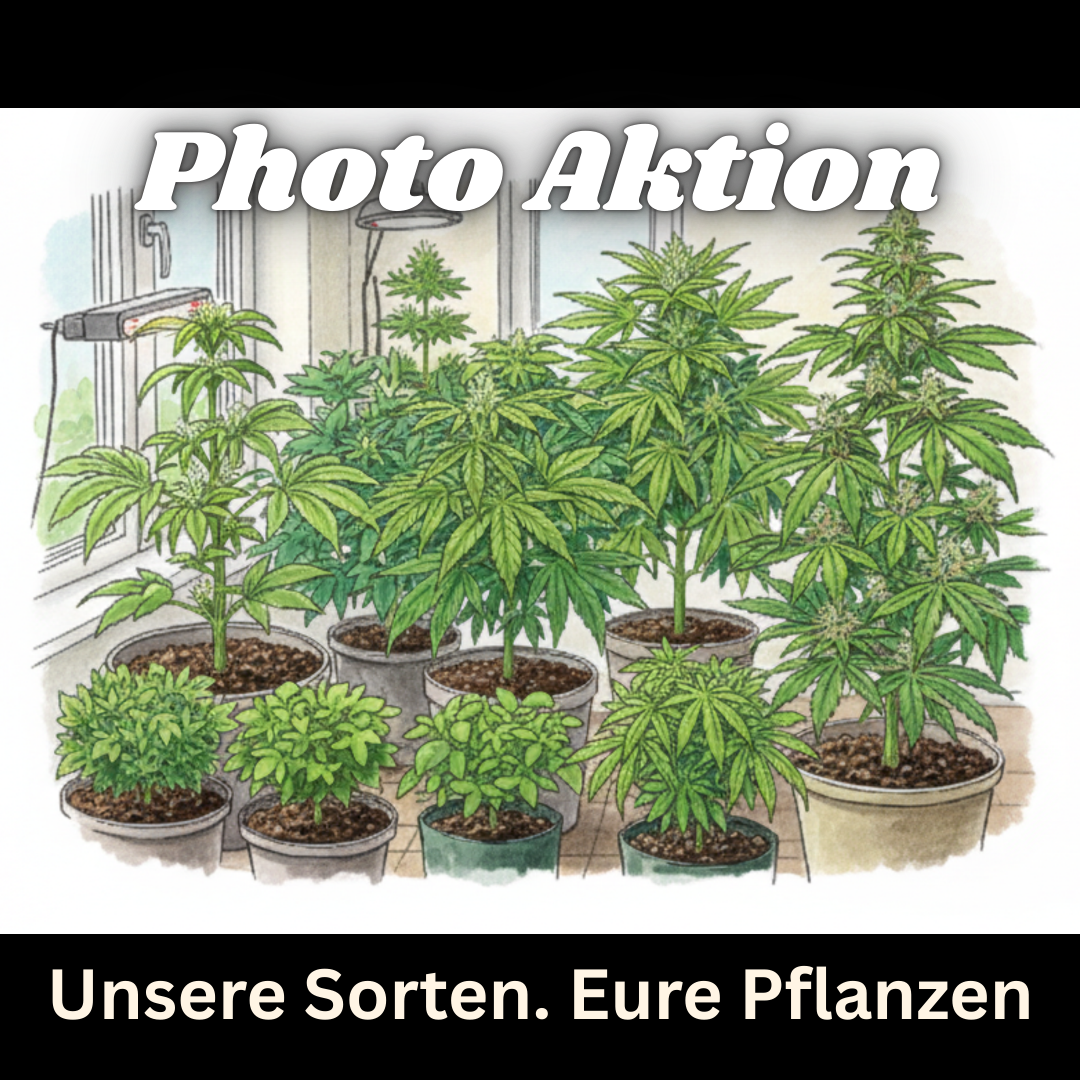 Photo Aktion: "Unsere Sorten. Eure Pflanzen."