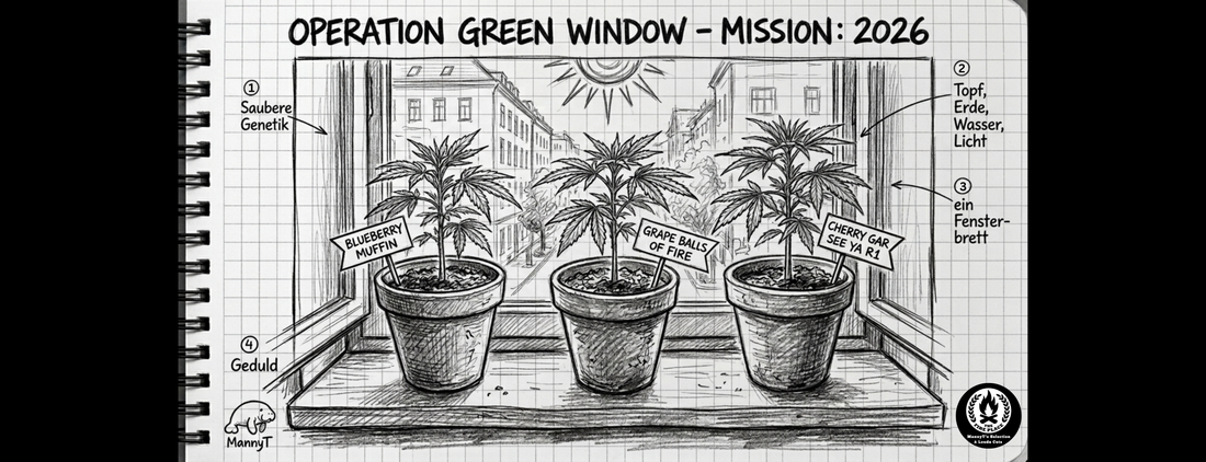Operation Green Window