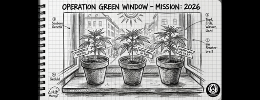 Operation Green Window