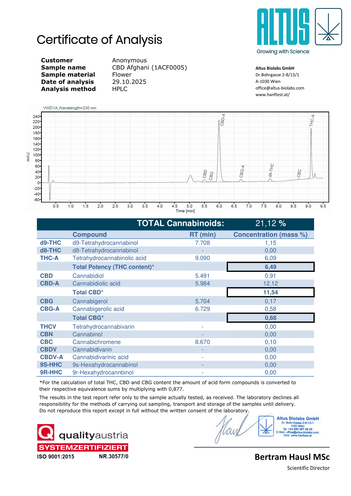 CBD Afghani - Hanfsteckling (Burger Cut)