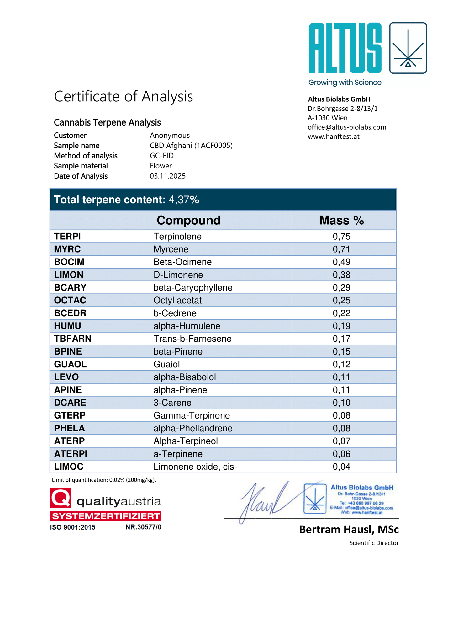 CBD Afghani - Hanfsteckling (Burger Cut)