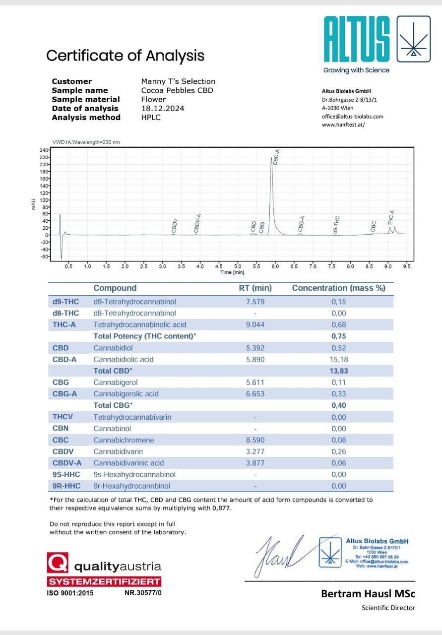 Cocoa Pebbles CBD - Hanfsteckling