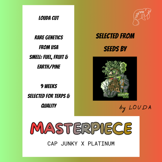 Masterpiece (LOUDA CUT) - Hanfsteckling