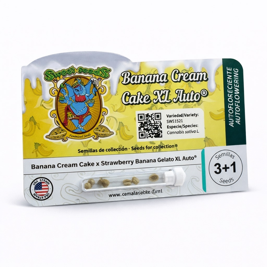 Banana Cream Cake XL Auto® 3+1 Seeds