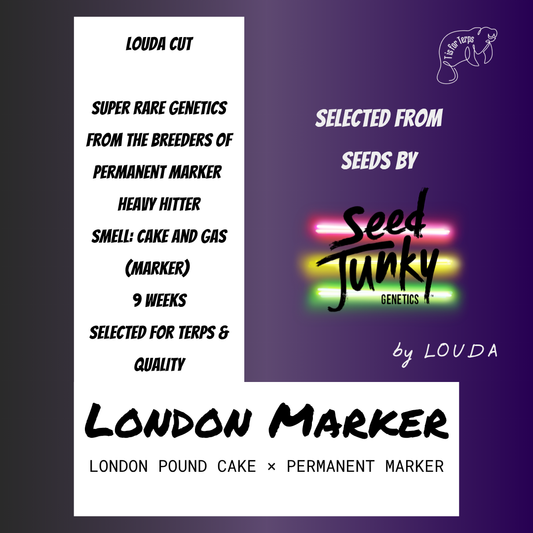 London Marker (LOUDA CUT) - Hanfsteckling