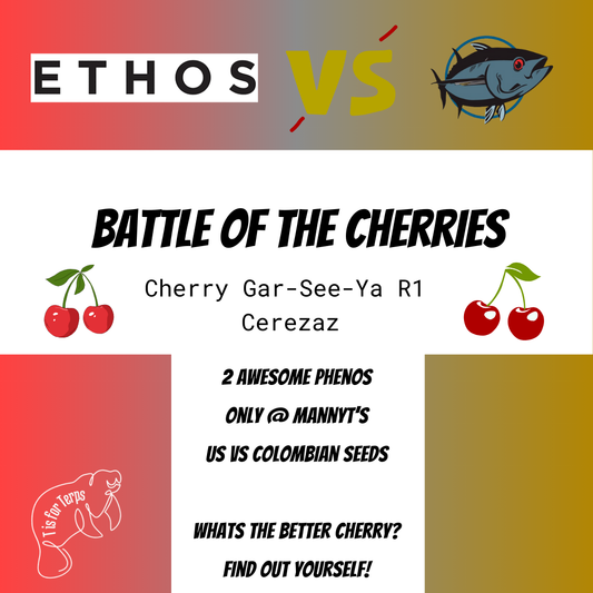 Battle of the Cherries - Box