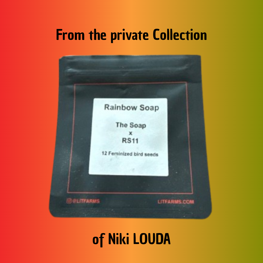 Rainbow Soap (LOUDA CUT) - Hanfsteckling