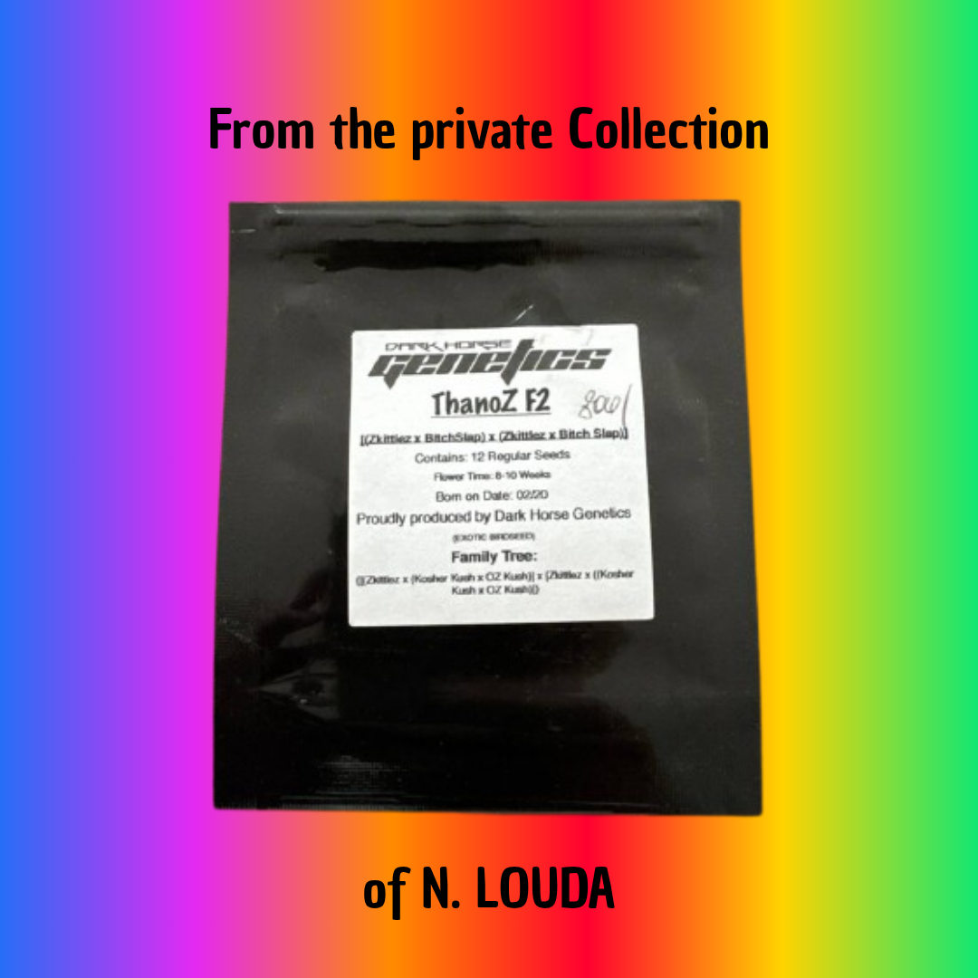 ThanoZ F2 (LOUDA-CUT) - Hanfsteckling