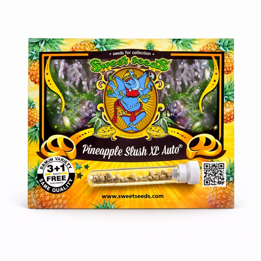Pineapple Slush XL Auto® 3+1 Seeds